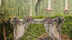 Special Shine Events